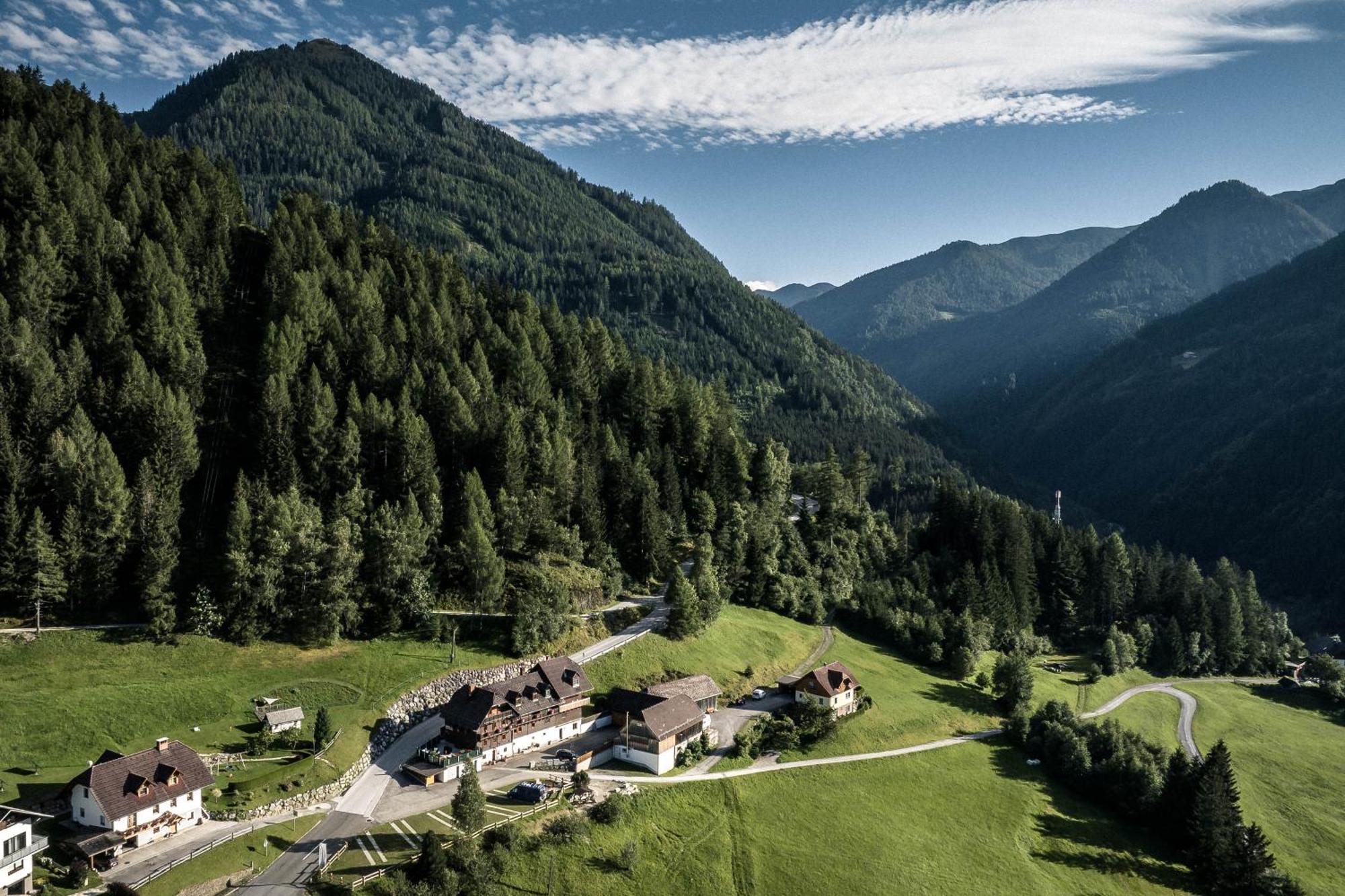 Ertlschweigerhaus Pension - Appartements - Zimmer Donnersbach Dış mekan fotoğraf